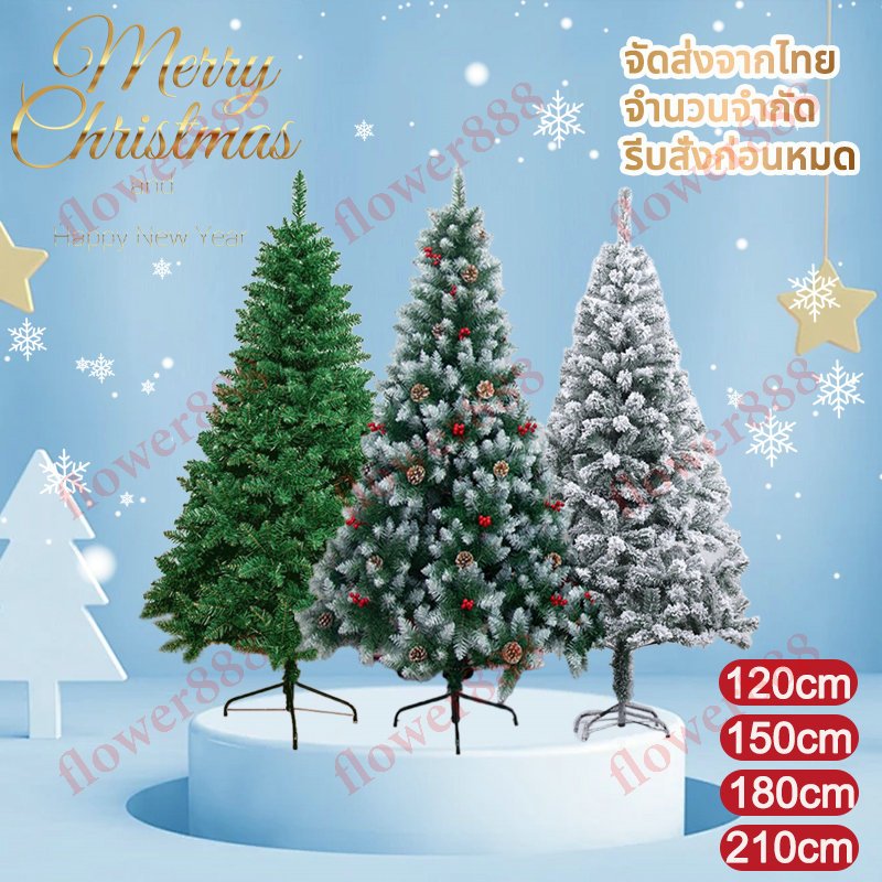 ต้นคริสต์มาส ต้นคริสมาสต์ 1.2/1.5/1.8/2.1เมตร ต้นไม้คริสต์มาส มี3แบบให้เลือก วัสดุPE+PVC ต้นคริสต์มาสขนาดใหญ่ ใช้ซ้ำได้ ต้นไม้ปลอม christmas tree