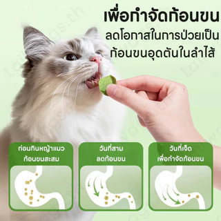 😻หญ้าแมวฟรีซดราย🌿หญ้าแมวอัดแท่ง ขนมหญ้าแมว630G แมวฟรีซดรายผสมอกไก่ ขนมแมวฟรีซดราย