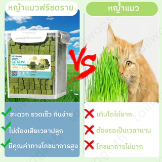 😻หญ้าแมวฟรีซดราย🌿หญ้าแมวอัดแท่ง ขนมหญ้าแมว630G แมวฟรีซดรายผสมอกไก่ ขนมแมวฟรีซดราย