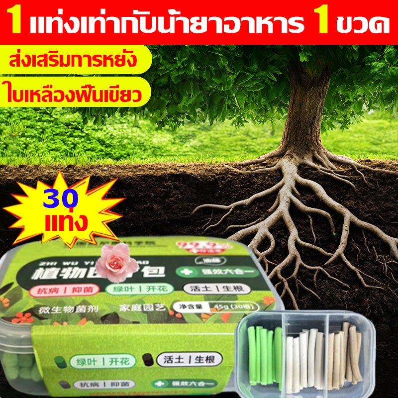 ปุ๋ยเร่งดอก ฮอร์โมนพืช ปุ๋ยทางใบ ปุ๋ยเร่งราก 1กล่อง30แท่ง 1แท่งเท่ากับน้ำยาอาหาร 1 เร่งการเจริญเติบโต ต้นโตไว ผลดก