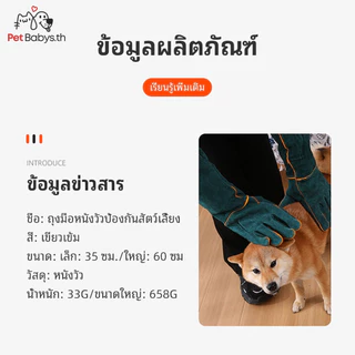 🐈35/60CM🧤ถุงมือกันกัด ทำจากหนังวัวแท้ ถุงมือป้องกันสัตว์กัด หนา3ชั้น ยาวพิเศษ ป้องกันการโดนกัด