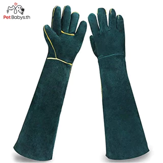 🐈35/60CM🧤ถุงมือกันกัด ทำจากหนังวัวแท้ ถุงมือป้องกันสัตว์กัด หนา3ชั้น ยาวพิเศษ ป้องกันการโดนกัด
