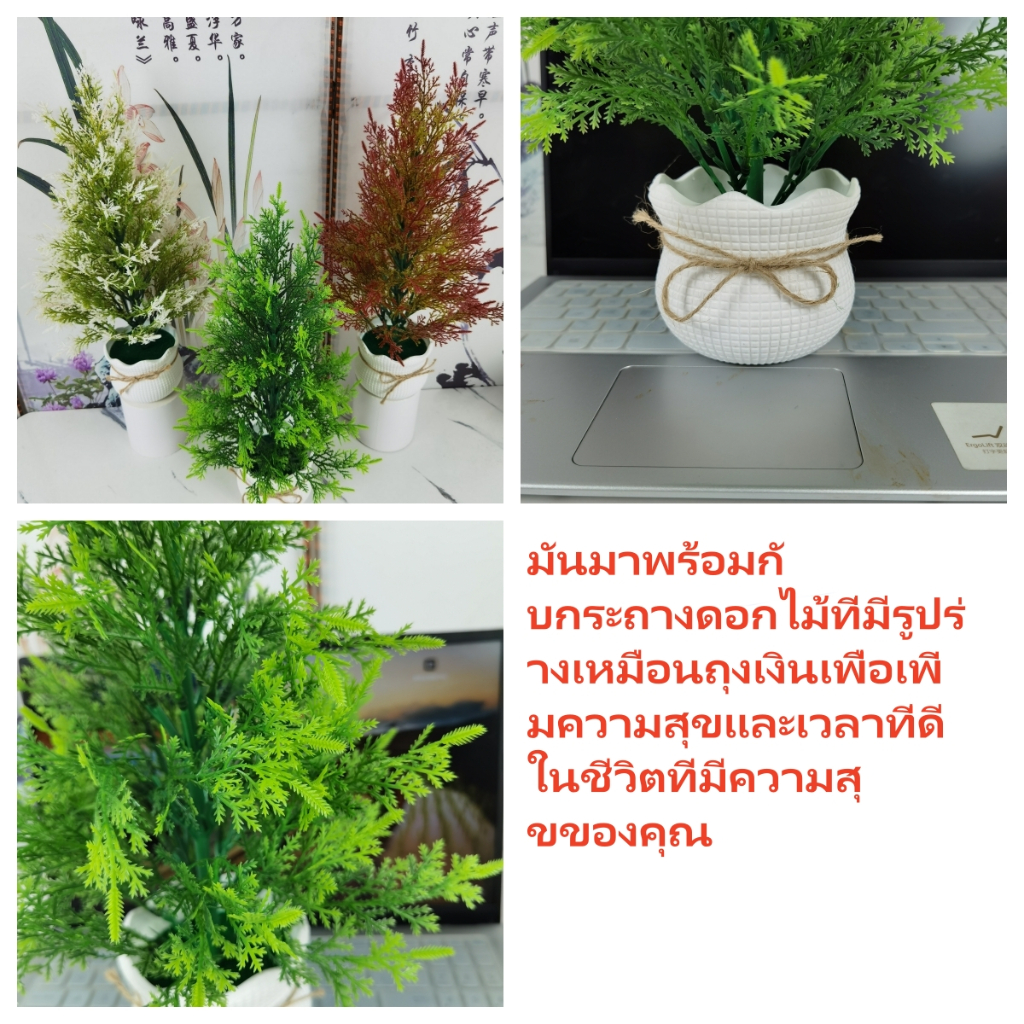 ต้นสน ประดิษฐ์ต้นคริสต์มาสจําลองไซเปรสกระถางต้นไม้พลาสติกพ รูปที่ 3