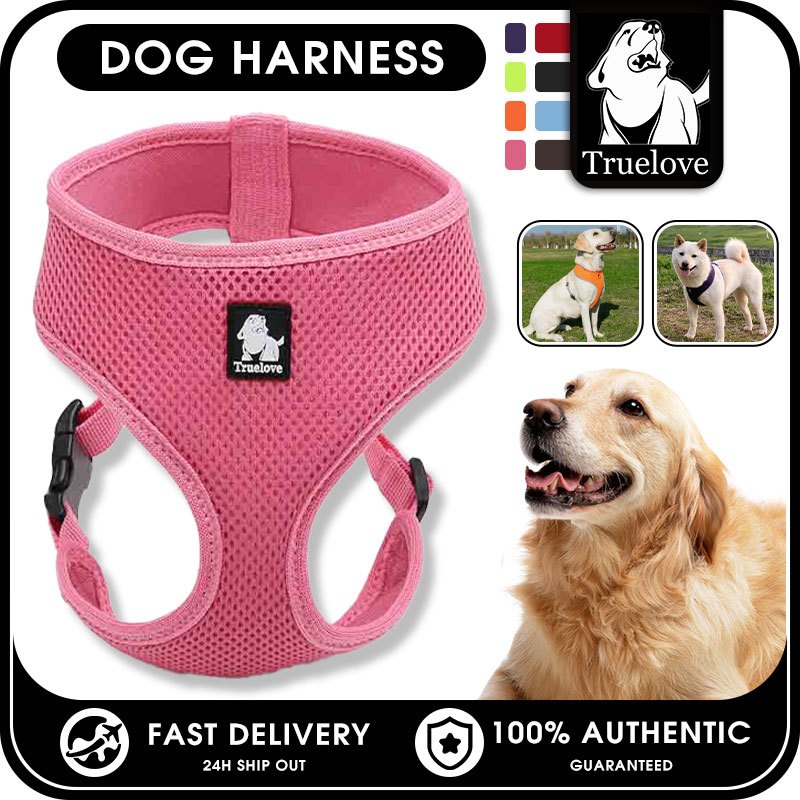 TRUELOVE สายรัดสุนัขแมวตาข่ายนุ่มปรับ Black Pitbull Terrier Petshop