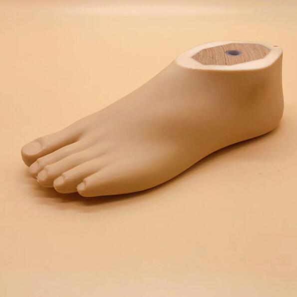 อุปกรณ์เสริมเทียมสําหรับแขนขาเทียม แผ่นเท้า ฝ่าเท้า ข้อเท้า ข้อเท้า ข้อเท้า ข้อเท้า - รูปที่ 7