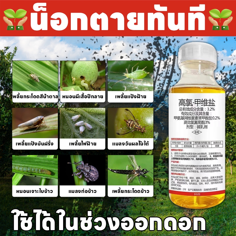 สูตรใหม่กําจัดศัตรูพืช Leno ยาฆ่าเพลี้ย ยาเพลี้ยไฟ ยาฆ่าแมลง ฆ่าได้ทั้งตัวเต็มวัยและไข่ ไม่เป็นอันตรายต่อพืช คน และสัตว์ กําจัดไรแดง เพลี้ยหอย แมลงหวี่ขาว ยาเพลี้ยหอย ยาหนอน