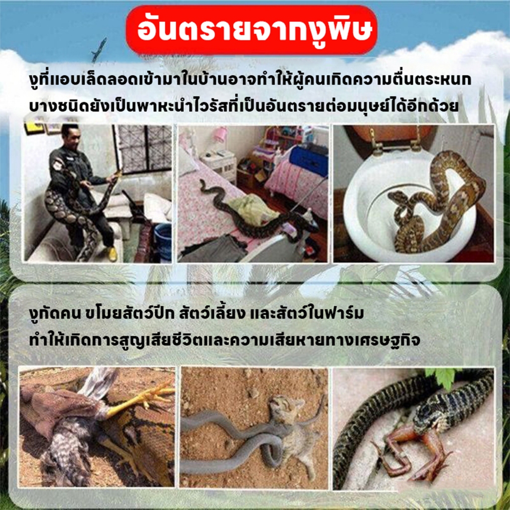 ใช้ได้ทุกสภาพอากาศ LI ผงไล่งู ไล่งู ยาไล่งู ผงกันงู ปลอดสารพิษ ไม่เป็นอันตรายต่อแม่และเด็ก กำมะถันผง สารไล่งู กำจัดงู