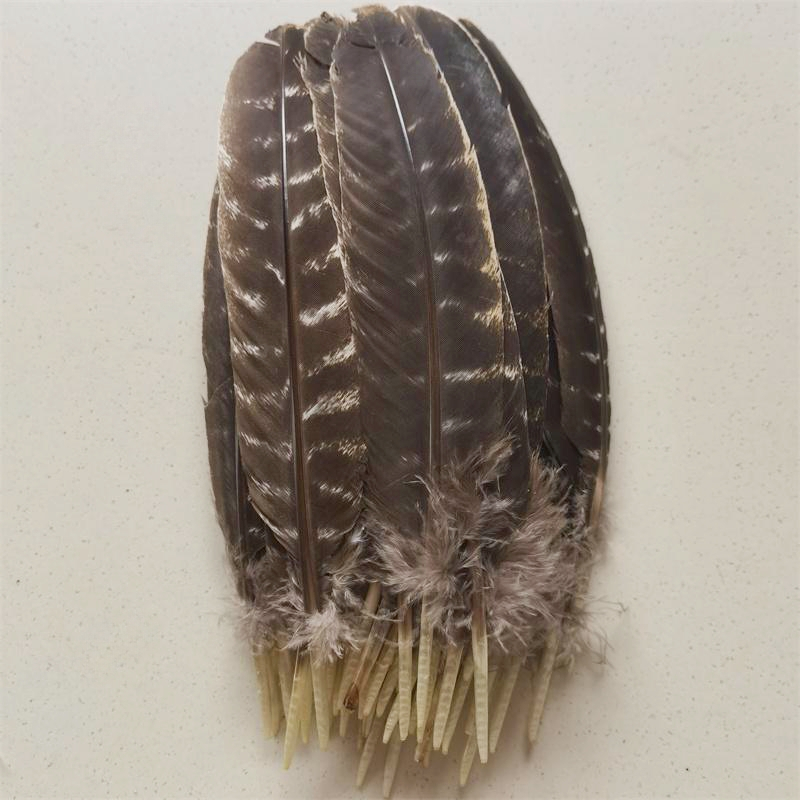 10 ชิ้น/ล็อตธรรมชาติ Headdress อุปกรณ์เสริมวันหยุดตกแต่ง Carnival feather DIY หัตถกรรม DecorWholesale ธรรมชาติ Eagle bird ตุรกีไก่ฟ้า feather สําหรับงานฝีมือ