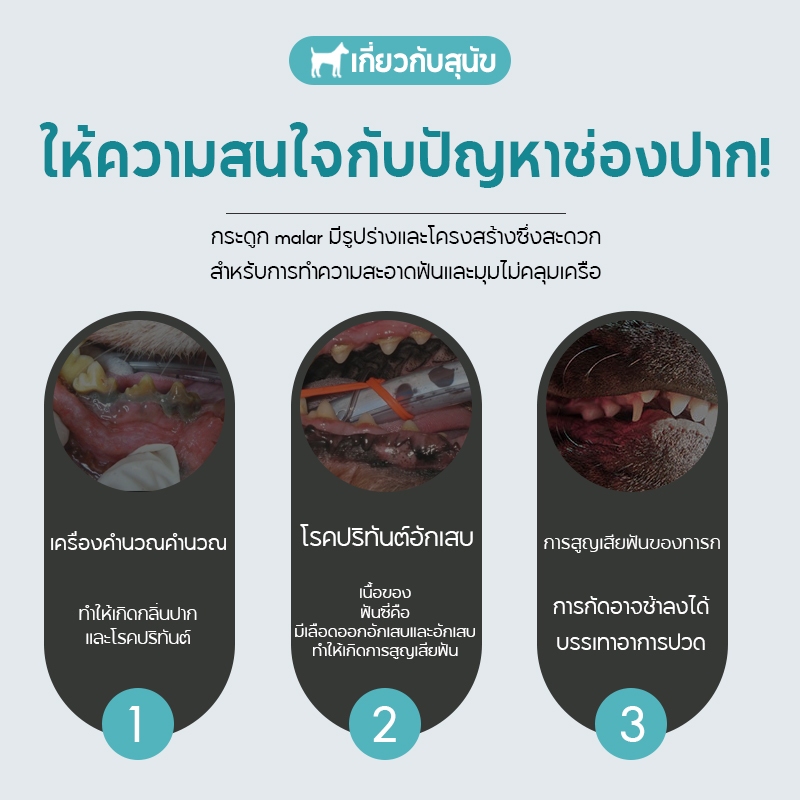 รูปภาพ 3