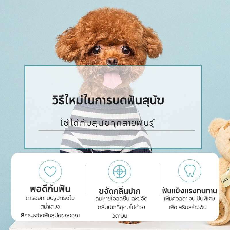 รูปภาพ 5