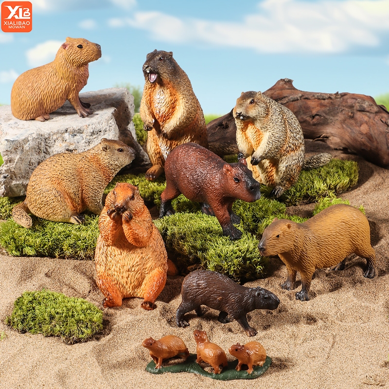 สัตว์ป่าจําลอง Rodent Marmot Capybara รุ่น Action Figure Figurine Collection ของเล่นเด็กน่ารัก
