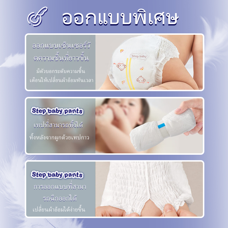 รูปภาพ 8