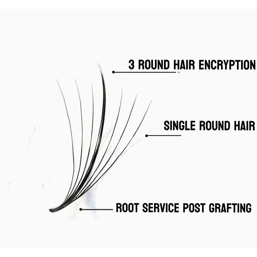 7D Fairy ขนตาปลอม 0.07mm ขนตาดอกขนาดใหญ่ - รูปที่ 3