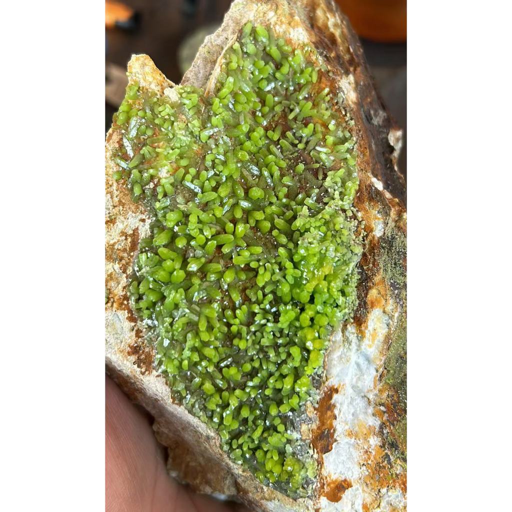 Live Broaast Dedicated Link 8 8 0