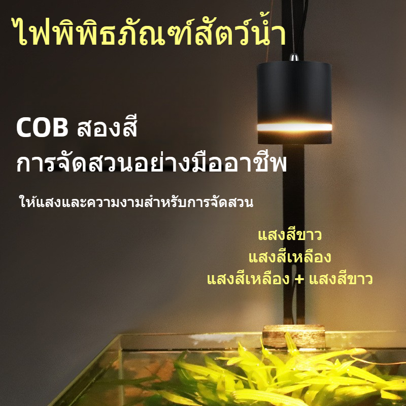 พิพิธภัณฑ์สัตว์น้ํา แสงสว่าง ไฟถังปลา นํา ลดแสงสามสีภูมิทัศน์วงเล็บน้ําพืชดาวน์ไลท์