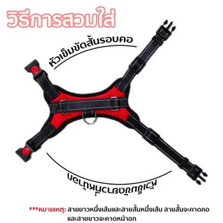 Xstore สายรัดสัตว์เลี้ยง สายรัดอก สายจูงสุนัข พันธุ์กลาง-ใหญ่ หลายสี