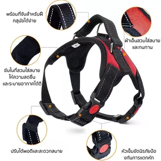New Life สายรัดสัตว์เลี้ยง มีแถบสะท้อนแสง สายรัดอก สายจูงสุนัข พันธุ์กลาง-ใหญ่ ปรับขนาดได้ แข็งแรงยืดหยุ่น