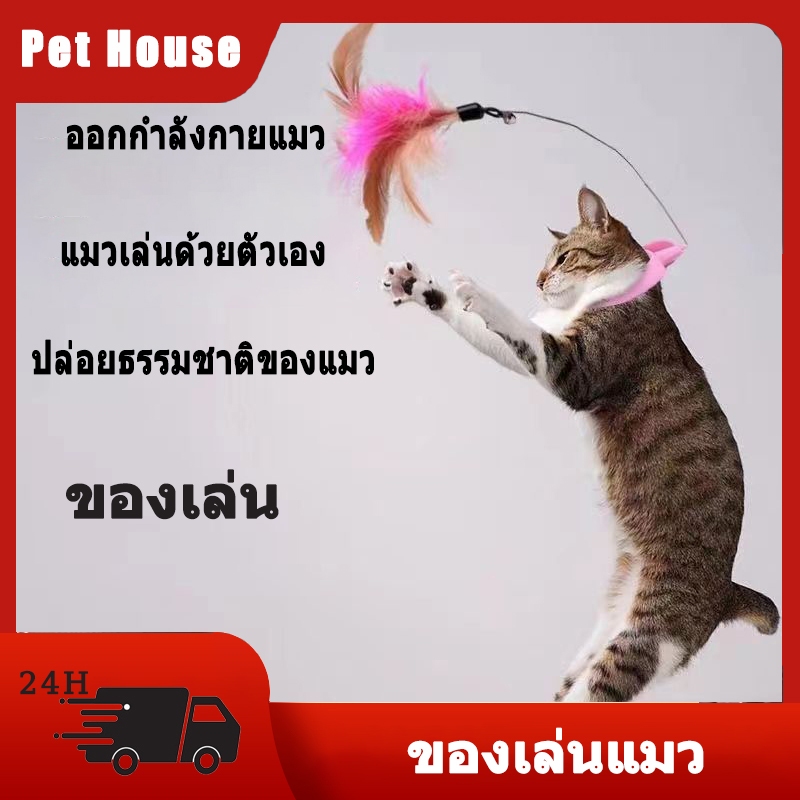 Cat toy ของเล่นแมว ไม้ตกแมว ไม้ตกแมวแบบสปริง ไม้ล่อแมว ไม้ตกแมว แบบลวดสลิง องเล่นไม้กายสิทธิ์ ฐานดูด ขนนก ดูดซับน้ําได้ดี ของเล่นสําหรับแมว