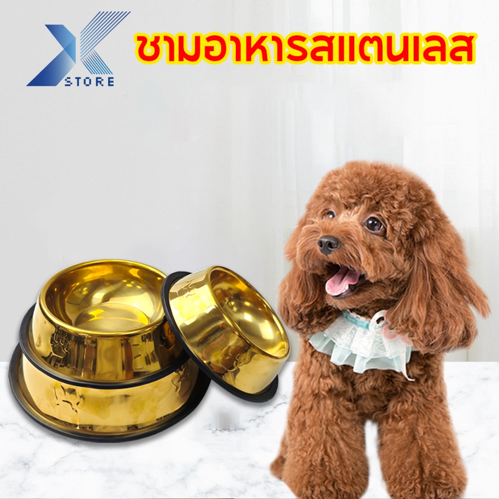 Xstore โกลเด้นชามอาหารสแตนเลส ชามอาหารสัตว์เลี้ยง สุนัข หมา แมว ถ้วยอาหารหมา