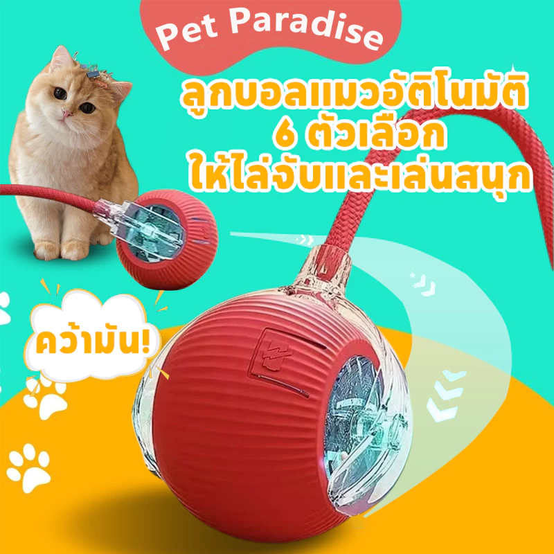 ของเล่นแมว ลูกบอลสัตว์เลี้ยง ของเล่นแมวอัจฉริยะ 6 ตัวเลือก หมุนได้ 360 องศา เรืองแสง USB ชาร์จ