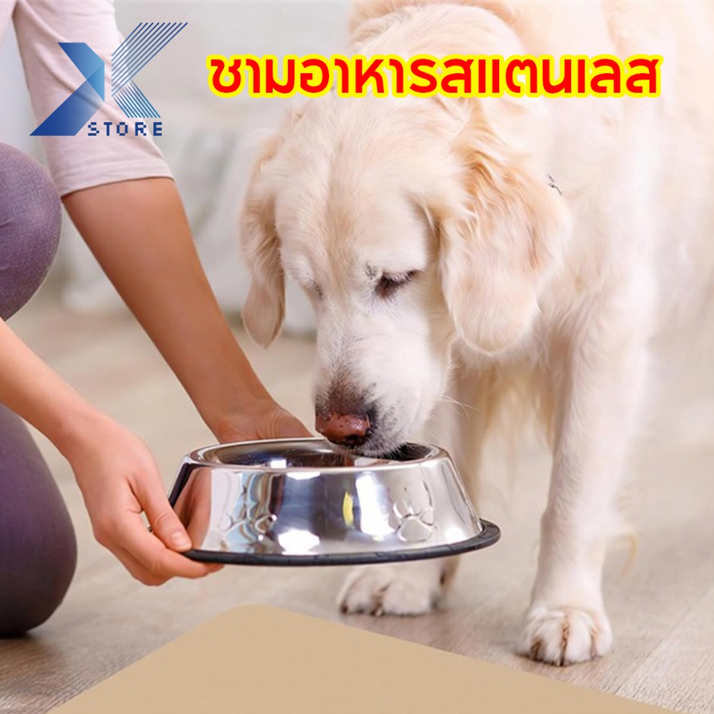 Xstore ชามอาหารหมา ชามอาหารแมว ชามสแตนเลส​ มียางกันลื่น ชามอาหารสัตว์​เลี้ยง​