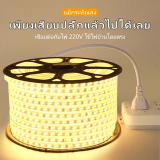 Super Bright แรงดันไฟฟ้าสูง 220VLED Light Strip สวนไฟในร่มเปลี่ยนได้อย่างอิสระ 3 M/5 M/10 M/15M20M