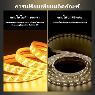 Super Bright แรงดันไฟฟ้าสูง 220VLED Light Strip สวนไฟในร่มเปลี่ยนได้อย่างอิสระ 3 M/5 M/10 M/15M20M