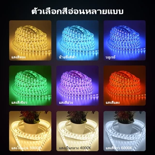 Super Bright แรงดันไฟฟ้าสูง 220VLED Light Strip สวนไฟในร่มเปลี่ยนได้อย่างอิสระ 3 M/5 M/10 M/15M20M