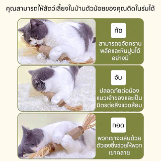 😻👍ไม้มาทาทาบิขัดฟันแมวไม้ฟันหญ้าแมวไม้แปรงฟันแมวขัดของเล่น ของเล่นทำความสะอาดแมว