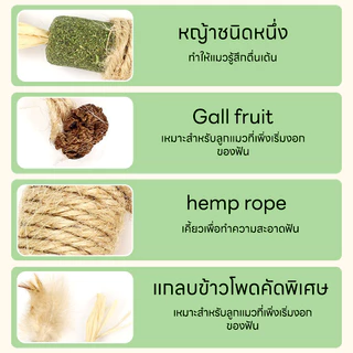 😻👍ไม้มาทาทาบิขัดฟันแมวไม้ฟันหญ้าแมวไม้แปรงฟันแมวขัดของเล่น ของเล่นทำความสะอาดแมว