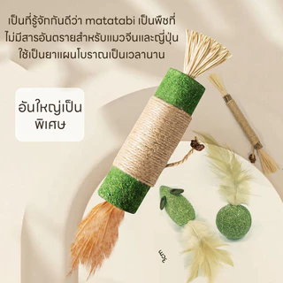 😻👍ไม้มาทาทาบิขัดฟันแมวไม้ฟันหญ้าแมวไม้แปรงฟันแมวขัดของเล่น ของเล่นทำความสะอาดแมว