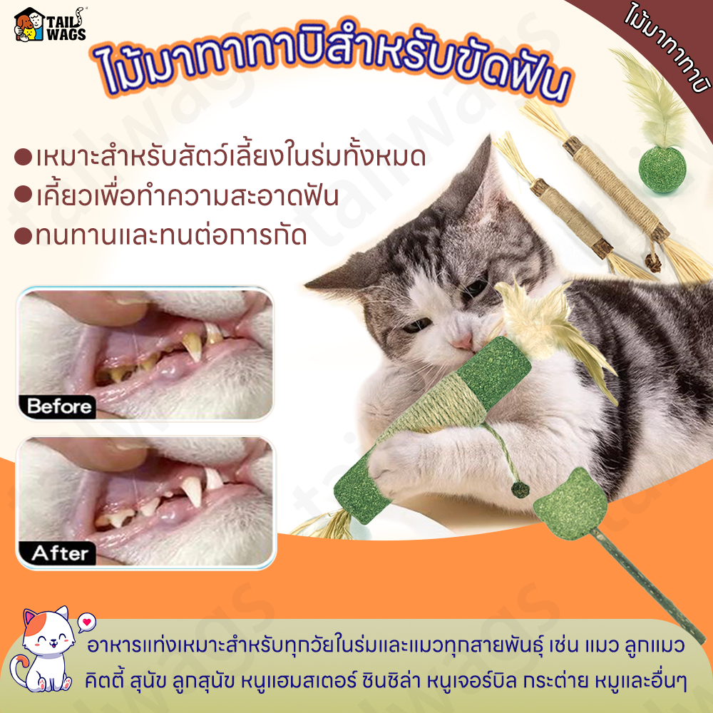 😻👍ไม้มาทาทาบิขัดฟันแมวไม้ฟันหญ้าแมวไม้แปรงฟันแมวไม้ขัดฟันแมวของเล่นแมว ของเล่นทำความสะอาดฟันแมว