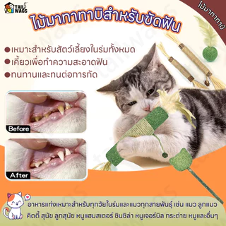 😻👍ไม้มาทาทาบิขัดฟันแมวไม้ฟันหญ้าแมวไม้แปรงฟันแมวขัดของเล่น ของเล่นทำความสะอาดแมว