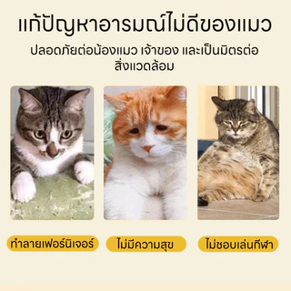 😻👍ไม้มาทาทาบิขัดฟันแมวไม้ฟันหญ้าแมวไม้แปรงฟันแมวขัดของเล่น ของเล่นทำความสะอาดแมว