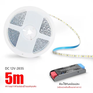 สายไฟ LED 120 ดวง 12V ยาว 5 เมตร10 เมตร ยืดหยุ่น สําหรับตกแต่งบ้าน ปาร์ตี้