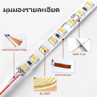 สายไฟ LED 120 ดวง 12V ยาว 5 เมตร10 เมตร ยืดหยุ่น สําหรับตกแต่งบ้าน ปาร์ตี้
