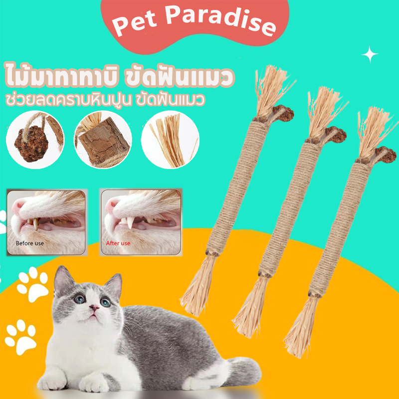 ไม้มาทาทาบิ ขัดฟันแมว 38/22cm ลดคราบหินปูน ขัดฟันแมว  กัญชาแมวมาทาบิ ของเล่นแมว พร้อมส่งจากไทย