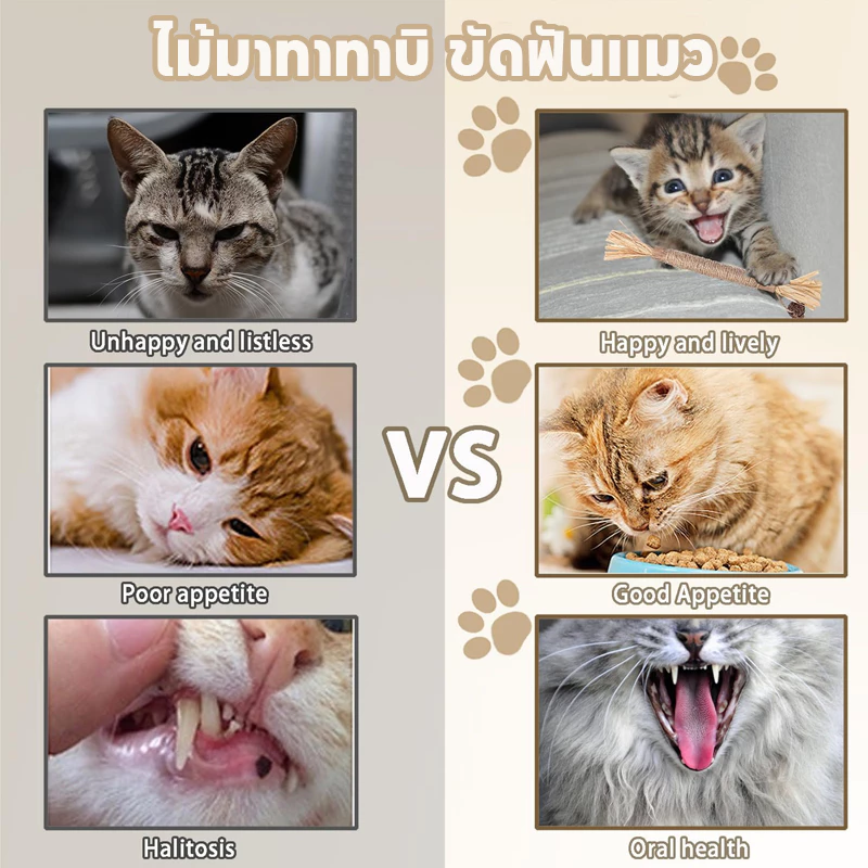 ไม้มาทาทาบิ ขัดฟันแมว 38/22cm ลดคราบหินปูน thumbnail 5