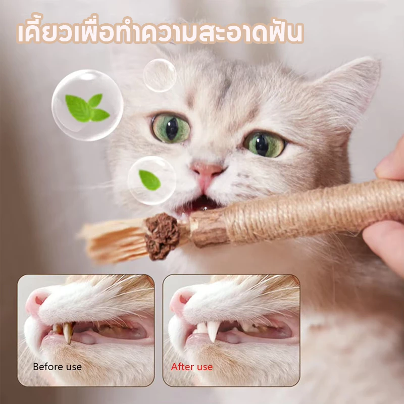 ไม้มาทาทาบิ ขัดฟันแมว 38/22cm ลดคราบหินปูน thumbnail 7