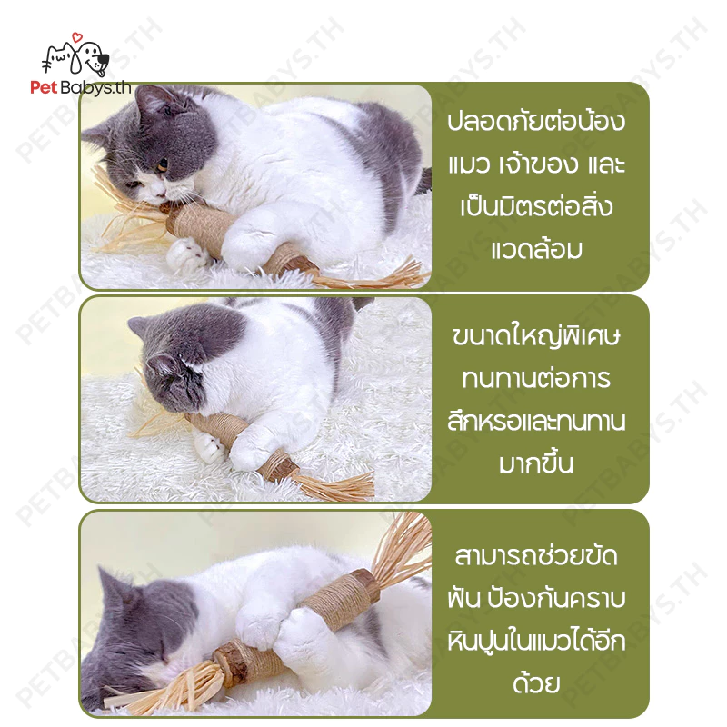ไม้มาทาทาบิ 38cm 6 แบบ ขัดฟันแมว แคทนิปญี่ปุ่น ลดหินปูน thumbnail 3