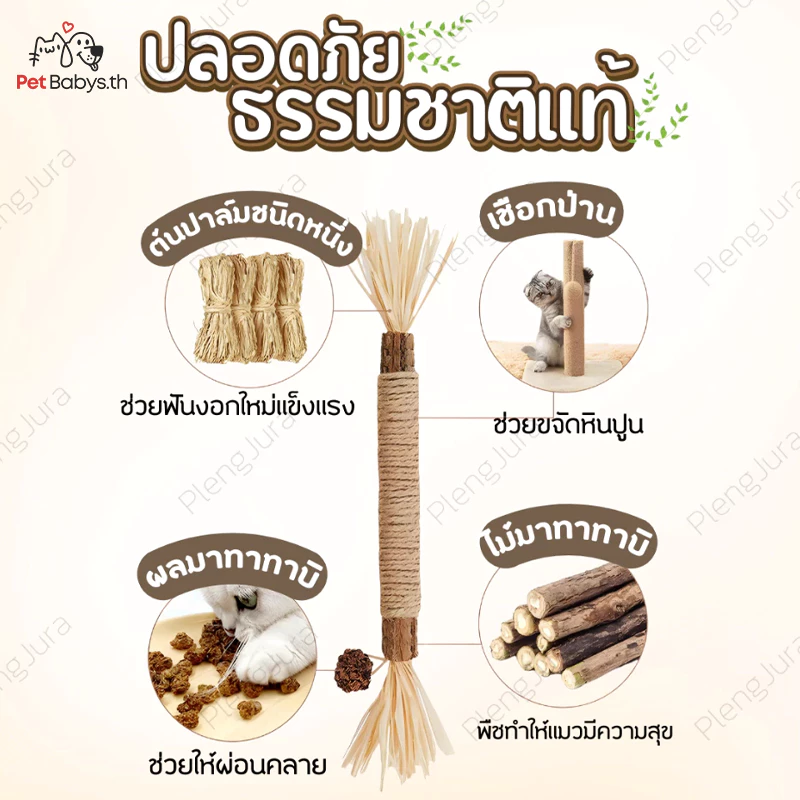 ไม้มาทาทาบิ 38cm 6 แบบ ขัดฟันแมว แคทนิปญี่ปุ่น ลดหินปูน thumbnail 9