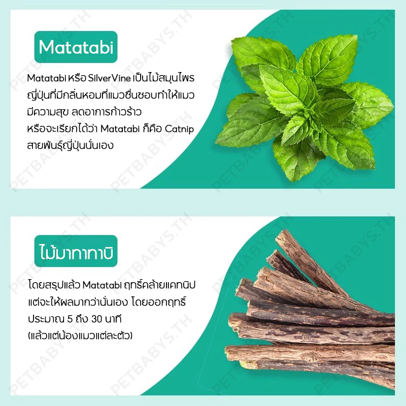 ไม้มาทาทาบิ 38cm 6 แบบ ขัดฟันแมว แคทนิปญี่ปุ่น ลดหินปูน thumbnail 4