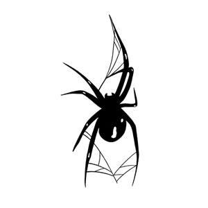 Black Phantom Spider Pattern Tattoo Sexy Plant Tattoo ติดทนนาน 15 วันสติกเกอร์รอยสักกันน้ํารอยสักปลอมชั่วคราว