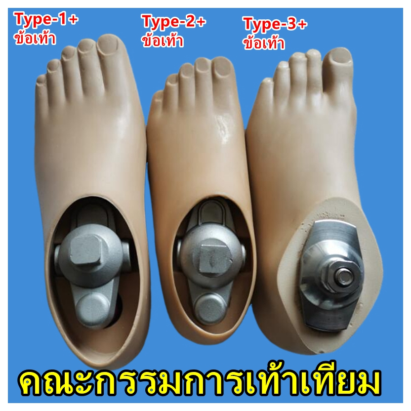 แผ่นเท้าเทียม + ข้อเท้าเชื่อมต่ออุปกรณ์เสริมแผ่นเท้าหลุมเดียว / หลุมคู่Type1/2/3