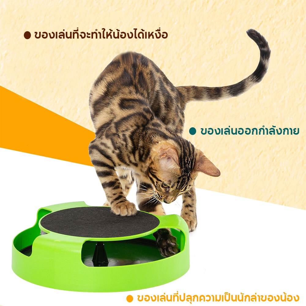 ของเล่นสัตว์เลี้ยง ของเล่นแมว ของเล่นจานเสียงแมว เกมส์แมวจับหนู Catch the Mouse motion cat toy ราคา ถูกที่สุด ดีลบีเคเค แกลเลอรีภาพที่ 4