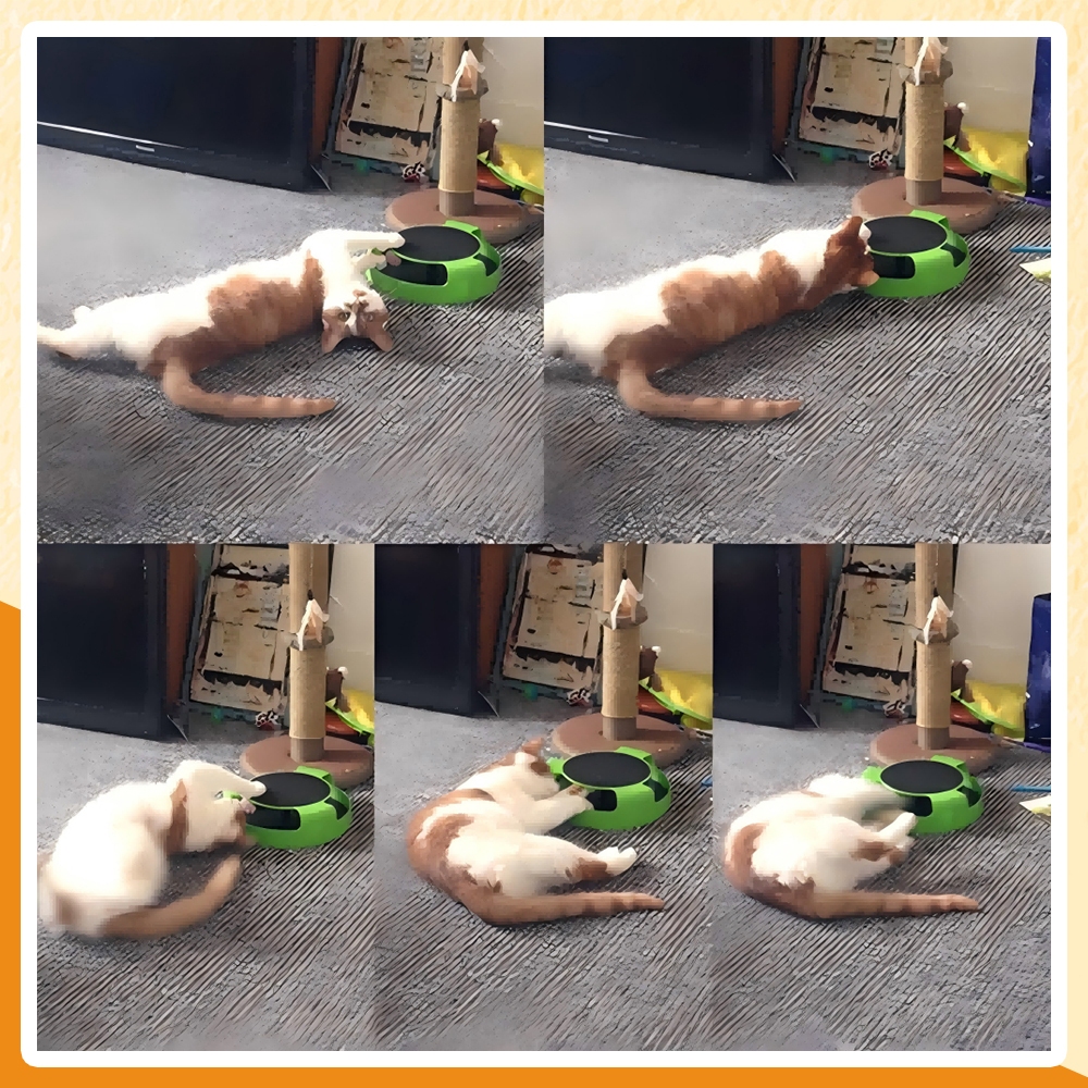 ของเล่นสัตว์เลี้ยง ของเล่นแมว ของเล่นจานเสียงแมว เกมส์แมวจับหนู Catch the Mouse motion cat toy ราคา ถูกที่สุด ดีลบีเคเค แกลเลอรีภาพที่ 8