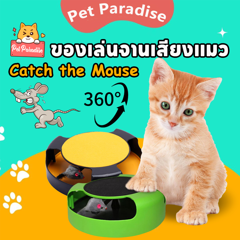 ของเล่นจานเสียงแมว รางบอลแมว ของเล่นแมว Catch the Mouse Motion Cat Toy ของเล่นสัตว์เลี้ยง