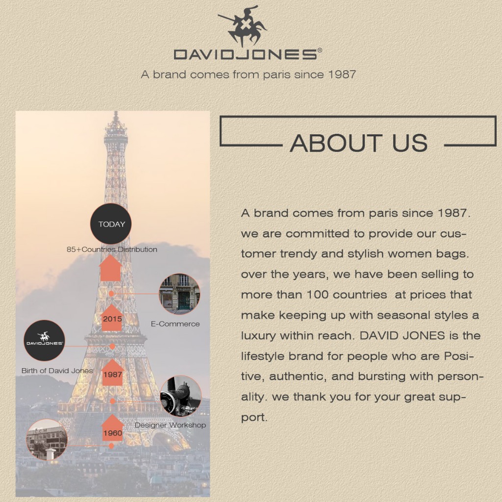 David Jones Paris حقيبة كتف نسائية ربيع وصيف 2025 — صورة 2