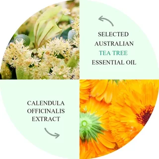 Breylee Tea Tree Oil แผ่นแปะสิวที่มองไม่เห็นกันน้ําสิว Fade Facial Care