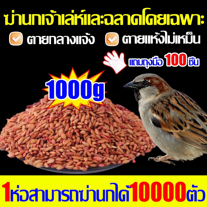 🐦10000เมตรไม่มีนก🐦ยาฆ่านกพิราบ 1000g ยาเบื่อนกพิราบ ทำลายอวัยวะภายในตายใน 1วัน แห้งเร็วและไม่มีกลิ่น ยากำจัดนกพิราบ